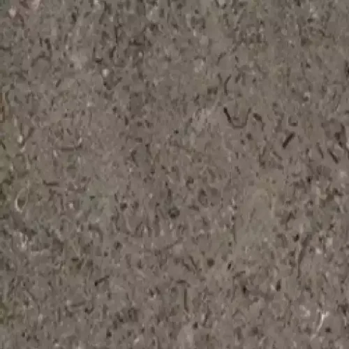 Sinai Pearl Grey Marble