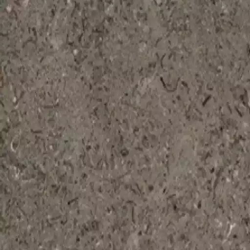 Sinai Pearl Grey Marble